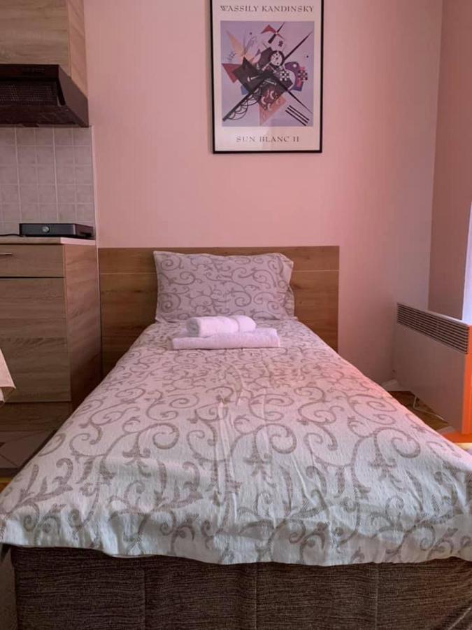 Apartmani Micic Vrnjačka Banja Εξωτερικό φωτογραφία