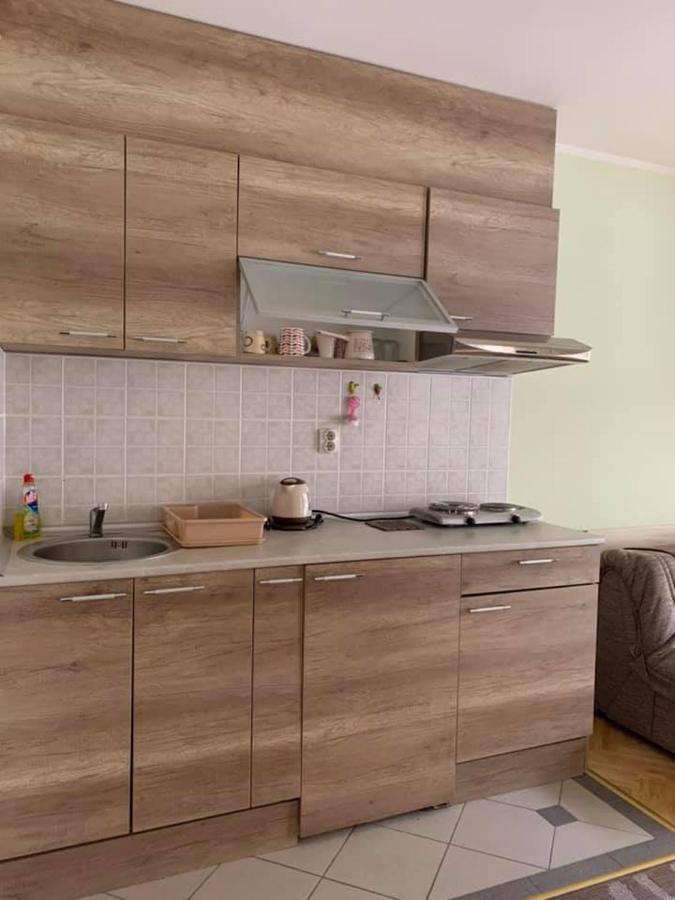 Apartmani Micic Vrnjačka Banja Εξωτερικό φωτογραφία