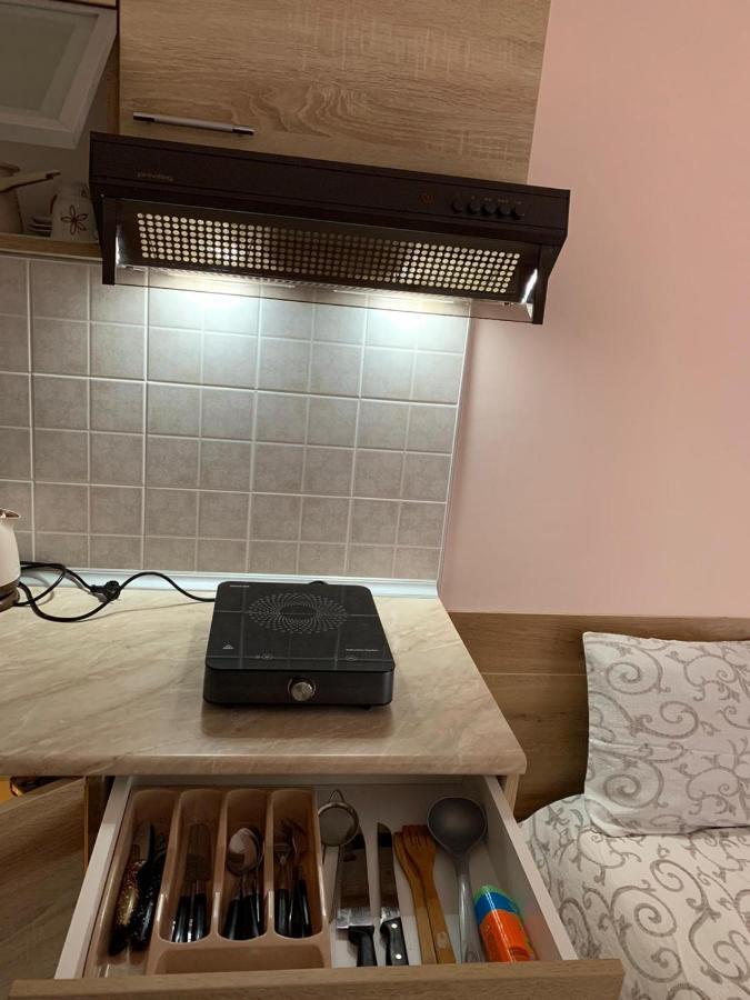 Apartmani Micic Vrnjačka Banja Εξωτερικό φωτογραφία